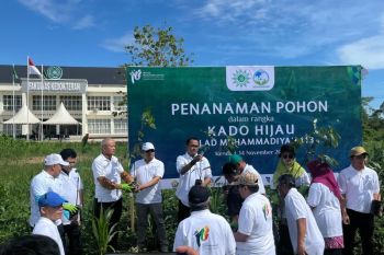 Kado Hijau Milad Muhammadiyah 113, MLH luncurkan "Green Mining Watch