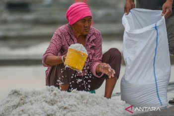 Pemerintah mengucurkan Rp10 T untuk KUR berbasis kekayaan intelektual
