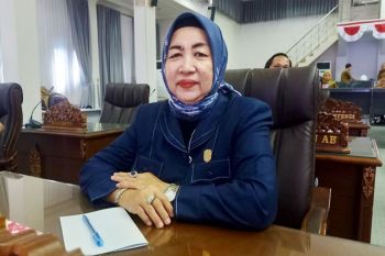 Anggota DPRD Barut apresiasi Ketua TP PKK ke Posyandu Desa Benangin II