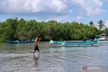 Daerah kepulauan berjuang hadapi dampak perubahan iklim