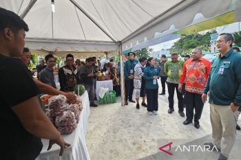 Pemprov Papua menjamin ketersediaan bahan pokok menjelang Nataru 2026