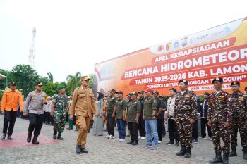 Pemkab Lamongan bina 96 desa tangguh antisipasi risiko bencana
