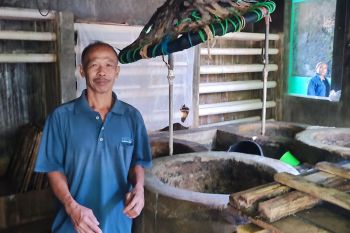 Swasembada pangan hadapi tantangan, banyak petani enggan tanam kedelai di lahan pertanian