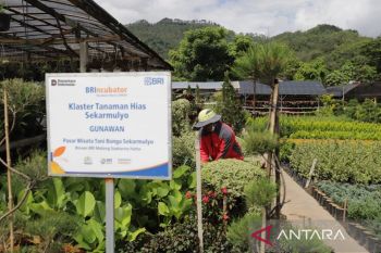 BRI UMi Kucurkan Rp632 T untuk Ekonomi Kerakyatan