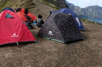 PNPB dari Gunung Rinjani mencapai Rp21 miliar