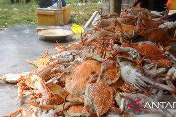 PHE ONWJ bersama warga Desa Sukajaya Karawang olah limbah cangkang rajungan jadi pupuk cair