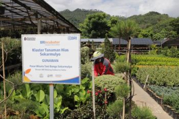 Holding Ultra Mikro BRI salurkan pembiayaan Rp632 triliun kepada 34,5 juta debitur