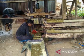 Sumbar upayakan kode khusus gambir untuk daya saing pasar global