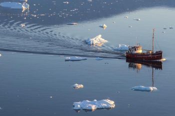 Penelitian baru ungkap perikanan tuna paling berisiko terhadap perubahan iklim