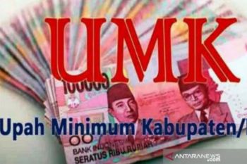 Disnaker Pekanbaru perkirakan UMK 2026 naik lima persen, segini jumlahnya