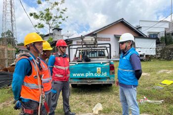 PLN perkuat layanan kelistrikan di Sanggau lewat pemeliharaan jaringan terencana