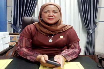 Waket II DPRD Barut dukung penguatan program unggulan melalui Musrenbang