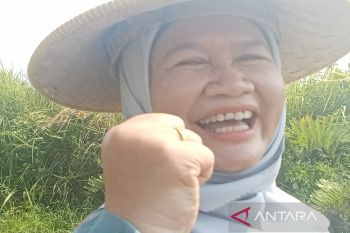 Pemkot Pekalongan kampanyekan program konsumsi pangan alternatif lokal non-nasi