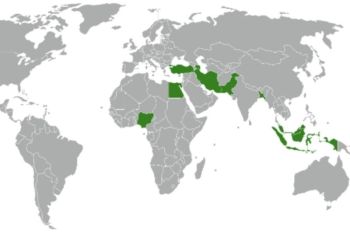D-8 establishes new bridge for connecting, formulating economic routes