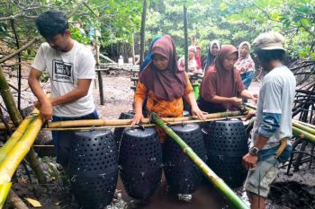KKP diseminasi inovasi teknologi bantu nelayan-pembudidaya kepiting