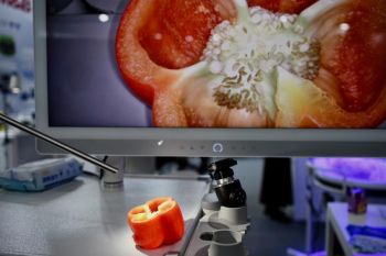 Seribuan perusahaan China ambil bagian dalam ajang Medica 2025 Jerman