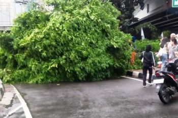 Sebagian Jakarta diperkirakan hujan pada Kamis