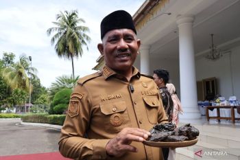 Bupati 50 Kota kaget harga ekstrak gambir Sumbar di India 10 dolar AS