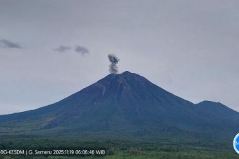 Gunung Semeru erupsi tiga kali dengan tinggi letusan 600 meter