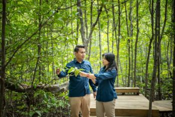 Cuku Nyinyi Dorong Konservasi Mangrove, Tekan Emisi dan Perkuat Ekonomi Masyarakat