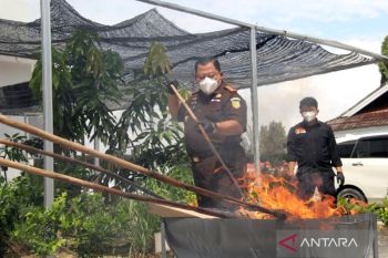 2025, Kejaksaan negeri Dumai catatkan sejumlah kinerja positif