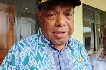 Pemkab Jayapura: Program MBG menyerap 80 persen tenaga kerja asli Papua