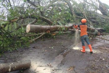 Pemkab Kediri petakan daerah rawan bencana banjir dan longsor