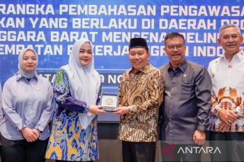 DPR minta LTSA NTB diaktifkan cegah PMI ilegal