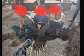 Polisi tangkap tiga anak yang diduga pelaku pembacokan di Jakarta Utara