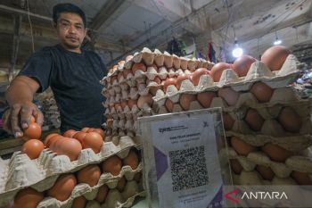 Harga telur ayam Rp32.600/kg, cabai rawit Rp80.350/kg