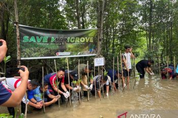 PSDKP Batam tanam 200 bibit Mangrove jaga ekosistem pesisir