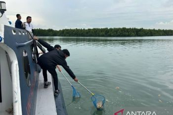 PSDKP Batam kerahkan 3 kapal patroli bersihkan sampah di laut