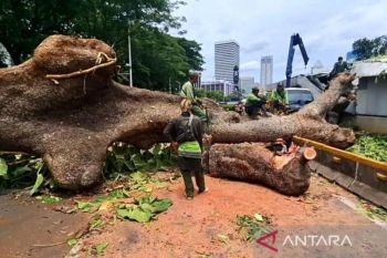 Pemprov DKI antisipasi cuaca ekstrem
