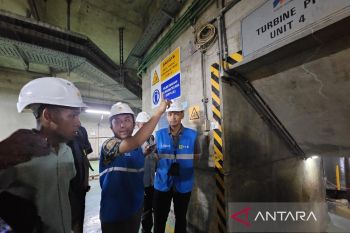 PT PLN sebut Papua punya 190 pembangkit dengan energi baru terbarukan