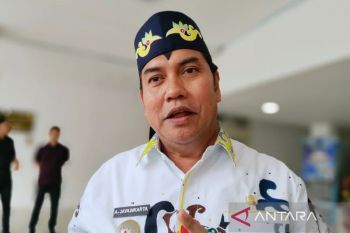 Angka kemiskinan di Pulang Pisau naik 0,23 persen