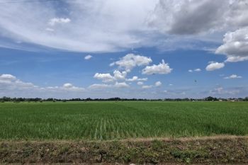 Pupuk Indonesia implementasi penurunan HET pupuk subsidi di Lampung