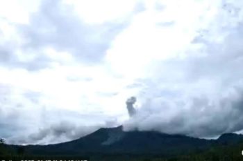 Gunung Ibu di Halmahera lontarkan abu hingga 800 meter