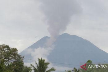 Mount Semeru records 45 eruption quakes, danger level stays at Warning