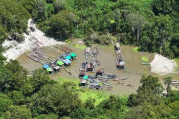 Kemenhut amankan 12 penambang emas ilegal di kawasan TN Tanjung Puting