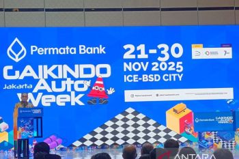 Indonesia's auto industry seen poised for further expansion