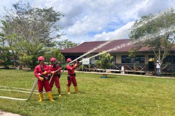 Minamas Plantation perkuat kolaborasi perlindungan gambut lewat program DMPG