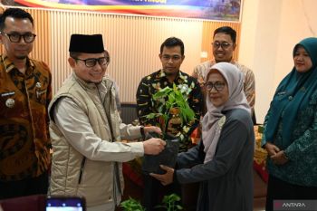 Dorong ketahanan pangan, Pemkot Bukittinggi sebarkan ratusan bibit cabai