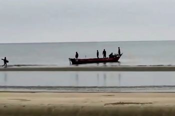 BPBD Kotim: Warga Satiruk diduga diterkam buaya