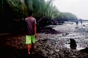 Seorang kakek hilang saat cari udang di sungai, diduga diterkam buaya