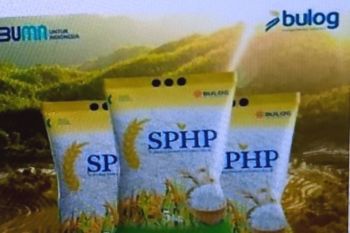 Pemkab Biak terus jaga stabilitas harga jelang Natal