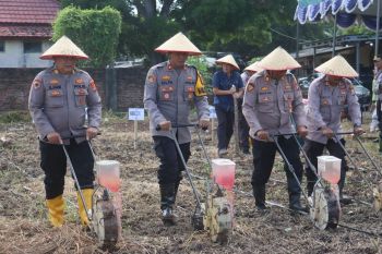 Polres Lamsel manfaatkan lahan tidur jadi areal pertanian produktif
