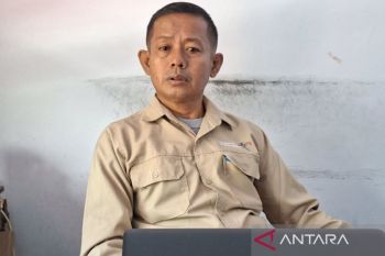 Papua Barat alokasikan Rp1,4 miliar dukung event surfing internasional di Manokwari