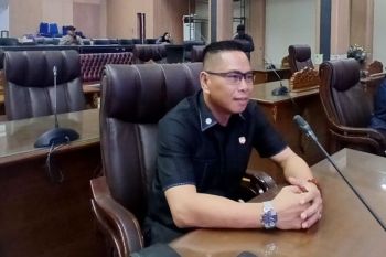Anggota DPRD Barut dukung percepatan pembangunan Jembatan Lemo