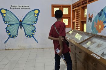 Pengunjung TWA Bantimurung harus waspada, ada penjual memaksa beli suvenir dengan harga selangit