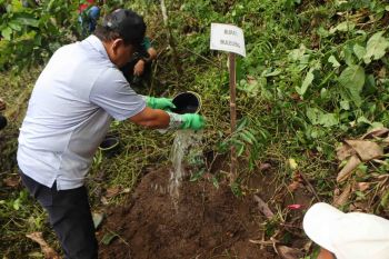 Pemkab Buleleng tanam pohon untuk lestarikan hutan Ambengan